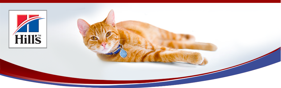 Hill's Pet Nutritions Kupong & Lojalitetskortsprogram